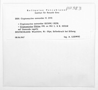 Image Associated With the Occurence